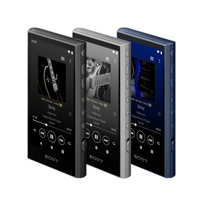 소니 워크맨 NW-A306 32GB MP3 DAP
